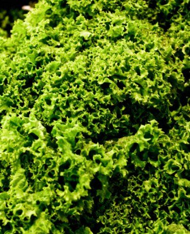 How to Clean Kale With Vinegar