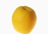 List of Stone Fruits