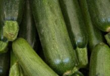 The Best Way to Grate Zucchini