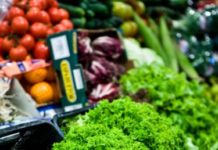 Fruits & Vegetables in Season by Month