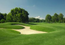 The Grass Is Always Greener When It’s Zoysia