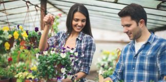 What’s In Potting Soil? Everything But Soil