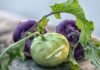 Kohlrabi Is Cabbage’s Sweet Cousin You Need to Try