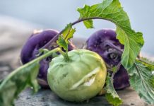 Kohlrabi Is Cabbage’s Sweet Cousin You Need to Try