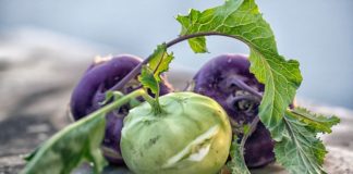 Kohlrabi Is Cabbage’s Sweet Cousin You Need to Try