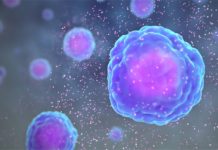 Cytokine Storms: When Your Immune System Defends You to Death