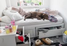 Why Can’t You Smell Your Own House?