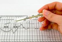 Abnormal Menstrual Cycles and Fertility