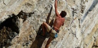 The Amygdala: Gatekeeper of Human Fear