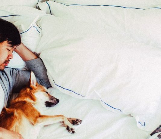 How Sleep Consolidates Our Memories