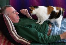 Why Do Cats Need to Knead?