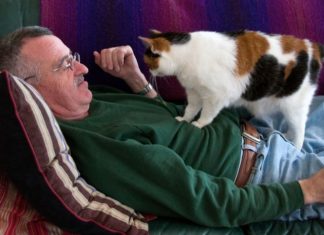 Why Do Cats Need to Knead?