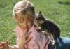 10 Great Cat Breeds for Kids
