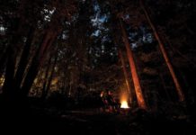 How to Reconnect with Nature Through Seasonal Living