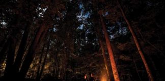 How to Reconnect with Nature Through Seasonal Living