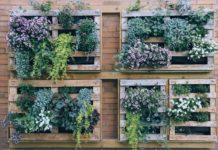 10 Reasons to Embrace Planted Walls