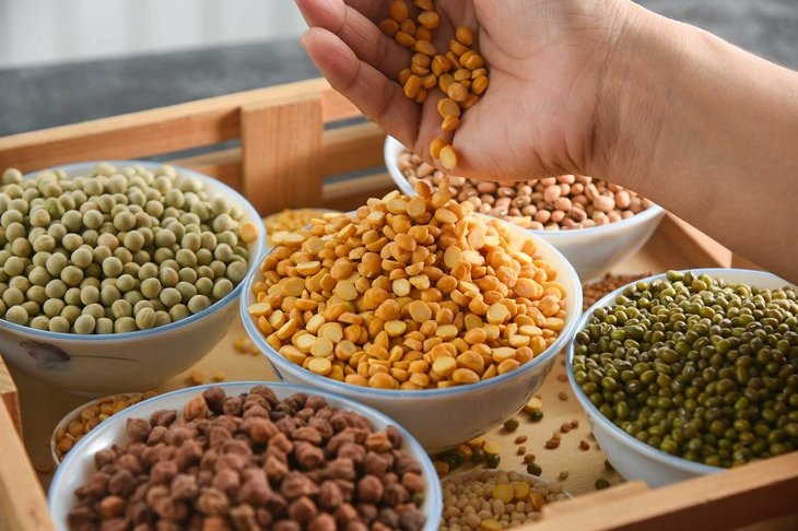 Pulses mix, Various sources of vegetable protein beans, lentils, peas, chickpeas, mung bean in bowls. Indian Pulses uncooked , healthy balanced diet for vegans, vegetarians. Legumes dal daal in hand