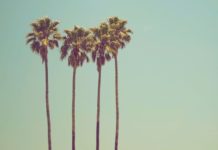 Get the best skin, hair & nails for summer …