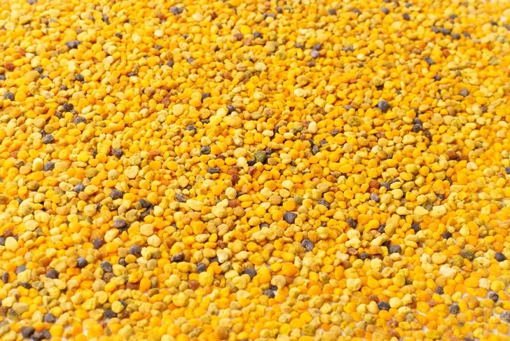 Bee pollen or perga textured background top view. Raw brown, yellow, orange and blue flower pollen grains or bee bread texture pattern. Healthy food supplement