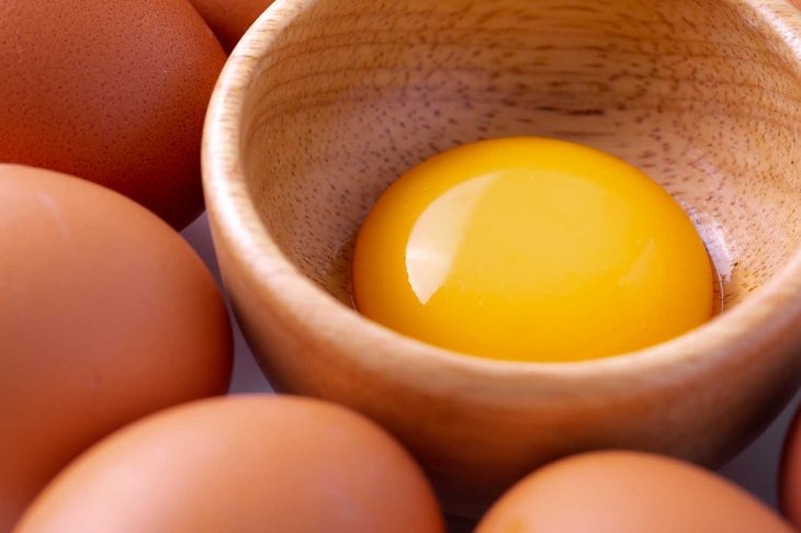 chicken egg isolated on white background