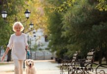 3 Ways Pups Can Improve Seniors’ Health