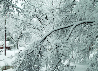 Prepare Your Family for Winter Weather