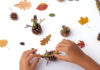 23 Pinecone Crafts and Experiments for All Ages and Stages