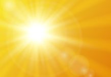 Vitamin D 101: 6 Vitamin D Deficiency Remedies for Women