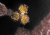 How to stay safe with a fast-spreading new coronavirus variant on the loose