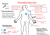 What Are Aminoglycosides?