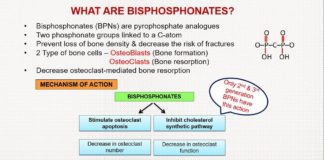 What Are Bisphosphonates?