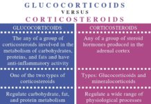 What Are Corticosteroids?