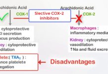 What Are COX-2 Inhibitors?
