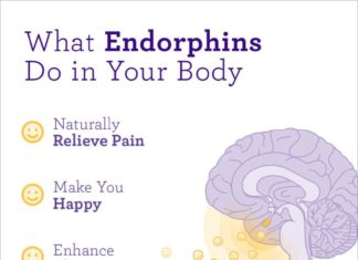 What Are Endorphins?