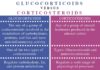 What Are Glucocorticoids?