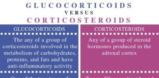 What Are Glucocorticoids?