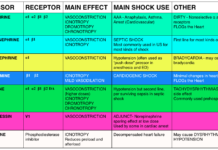 What Are Vasopressors?