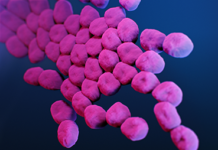 What Is Acinetobacter Baumannii?
