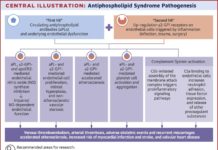 What Is Antiphospholipid Syndrome?