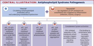 What Is Antiphospholipid Syndrome?