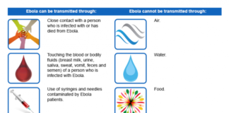 What Is Ebola? Symptoms, Causes, Diagnosis, Treatment, and Prevention