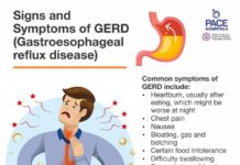 What Is GERD? Symptoms, Causes, Diagnosis, Treatment, and Prevention