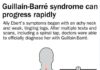What Is Guillain-Barré Syndrome? Symptoms, Causes, Diagnosis, Treatment, and Prevention