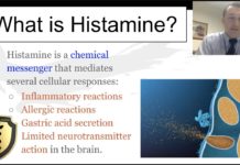 What Is Histamine?