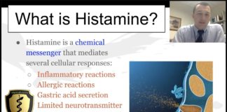 What Is Histamine?