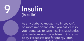 What Is Insulin?