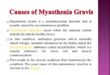 What Is Myasthenia Gravis? Symptoms, Causes, Diagnosis, Treatment, and Prevention