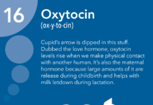 What Is Oxytocin?