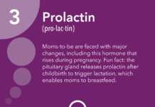 What Is Prolactin?