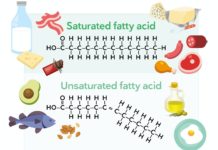 What Is Saturated Fat?